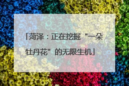 菏泽：正在挖掘“一朵牡丹花”的无限生机