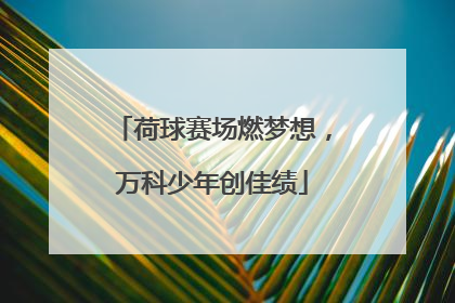 荷球赛场燃梦想，万科少年创佳绩