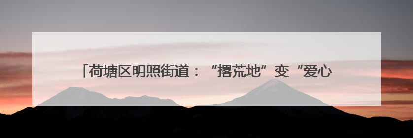 荷塘区明照街道：“撂荒地”变“爱心菜园” 志愿者携手种下“增收希望”