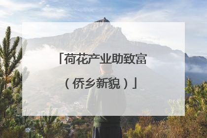 荷花产业助致富（侨乡新貌）