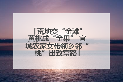 荒地变“金滩” 黄桃成“金果” 宜城农家女带领乡邻“桃”出致富路