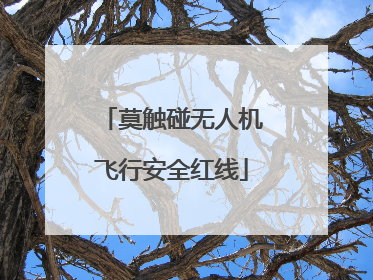 莫触碰无人机飞行安全红线
