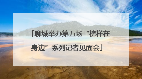 聊城举办第五场“榜样在身边”系列记者见面会