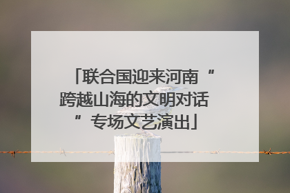 联合国迎来河南“跨越山海的文明对话”专场文艺演出