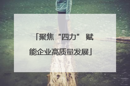 聚焦“四力” 赋能企业高质量发展