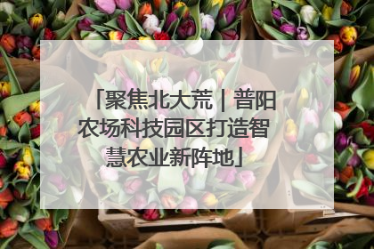 聚焦北大荒｜普阳农场科技园区打造智慧农业新阵地