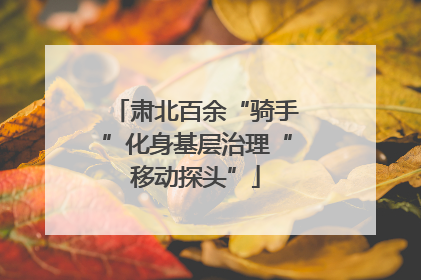 肃北百余“骑手”化身基层治理“移动探头”
