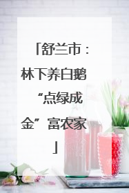 舒兰市：林下养白鹅 “点绿成金”富农家