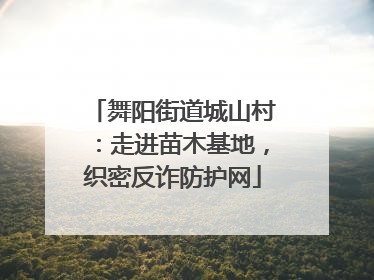 舞阳街道城山村：走进苗木基地，织密反诈防护网