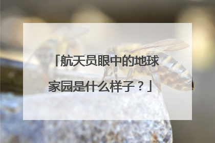 航天员眼中的地球家园是什么样子？