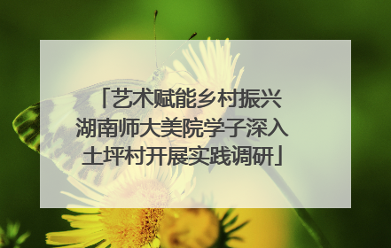 艺术赋能乡村振兴 湖南师大美院学子深入土坪村开展实践调研
