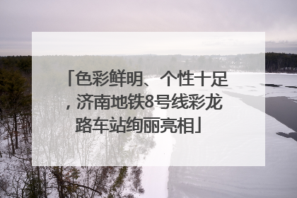 色彩鲜明、个性十足，济南地铁8号线彩龙路车站绚丽亮相