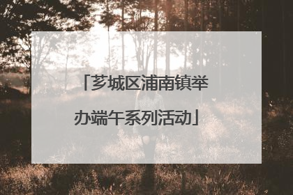 芗城区浦南镇举办端午系列活动