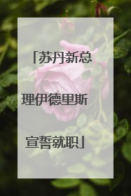 苏丹新总理伊德里斯宣誓就职