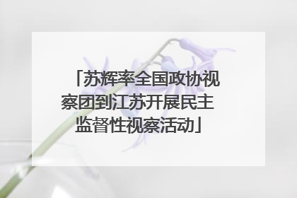 苏辉率全国政协视察团到江苏开展民主监督性视察活动
