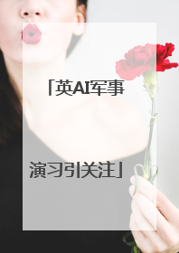 英AI军事演习引关注