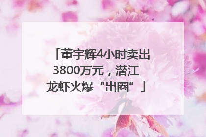 董宇辉4小时卖出3800万元，潜江龙虾火爆“出圈”