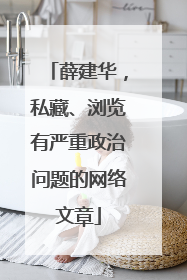 薛建华，私藏、浏览有严重政治问题的网络文章