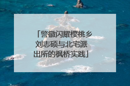 警徽闪耀樱桃乡 刘志硕与北宅派出所的枫桥实践