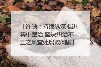 许勤：持续纵深推进集中整治 坚决纠治不正之风查处腐败问题