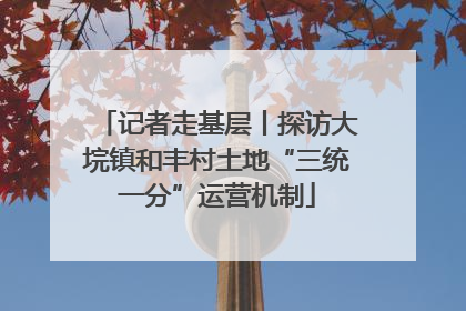记者走基层丨探访大垸镇和丰村土地“三统一分”运营机制