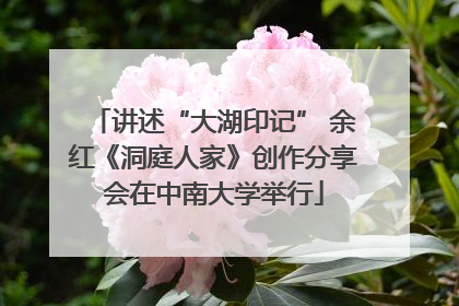 讲述“大湖印记” 余红《洞庭人家》创作分享会在中南大学举行