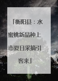 衡阳县：水蜜桃新品种上市夏日采摘引客来