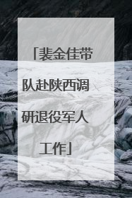 裴金佳带队赴陕西调研退役军人工作