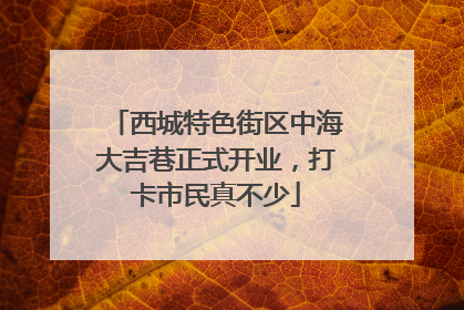 西城特色街区中海大吉巷正式开业，打卡市民真不少