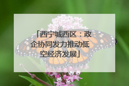 西宁城西区：政企协同发力推动低空经济发展