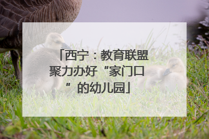 西宁：教育联盟聚力办好“家门口”的幼儿园