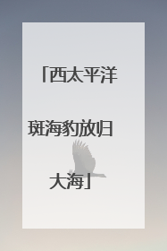 西太平洋斑海豹放归大海