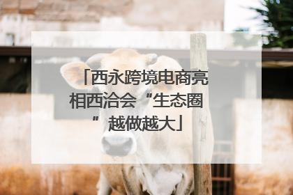 西永跨境电商亮相西洽会“生态圈”越做越大