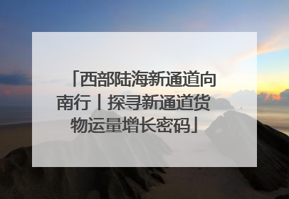西部陆海新通道向南行丨探寻新通道货物运量增长密码