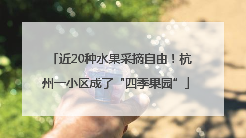 近20种水果采摘自由！杭州一小区成了“四季果园”