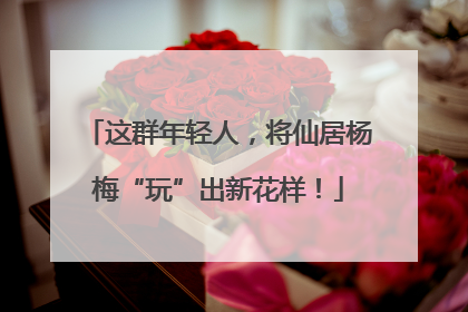 这群年轻人，将仙居杨梅“玩”出新花样！