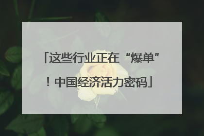 这些行业正在“爆单”！中国经济活力密码