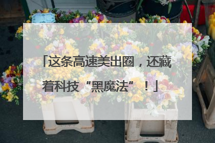这条高速美出圈，还藏着科技“黑魔法”！