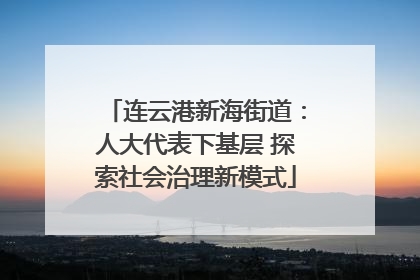 连云港新海街道：人大代表下基层 探索社会治理新模式