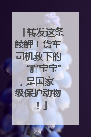 转发这条鲮鲤！货车司机救下的“胖宝宝”，是国家一级保护动物！