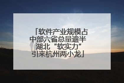 软件产业规模占中部六省总量逾半 湖北“软实力”引来杭州两小龙