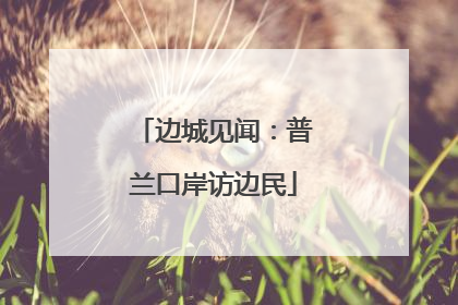边城见闻：普兰口岸访边民