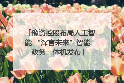 豫资控股布局人工智能 “深言未来”智能政务一体机发布