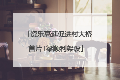资乐高速促进村大桥首片T梁顺利架设