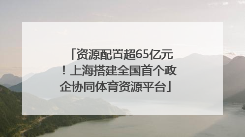 资源配置超65亿元！上海搭建全国首个政企协同体育资源平台