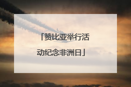 赞比亚举行活动纪念非洲日