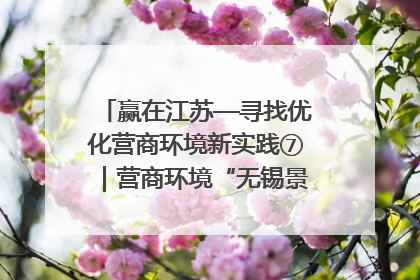 赢在江苏—寻找优化营商环境新实践⑦｜营商环境“无锡景”，原来长这样