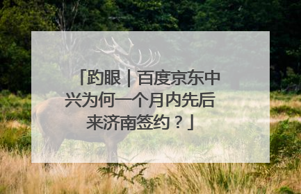 趵眼｜百度京东中兴为何一个月内先后来济南签约？