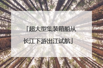 超大型集装箱船从长江下游出江试航