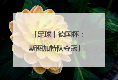 足球｜德国杯：斯图加特队夺冠